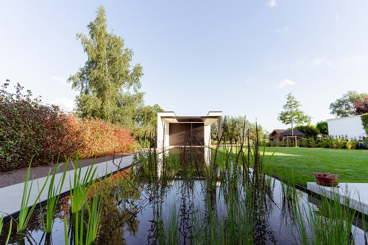 waterplanten in een zwemvijver
