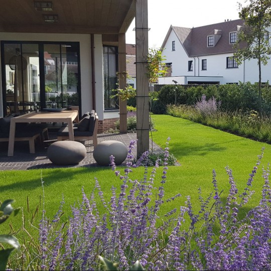 Een terras en tuin met lavendel planten.