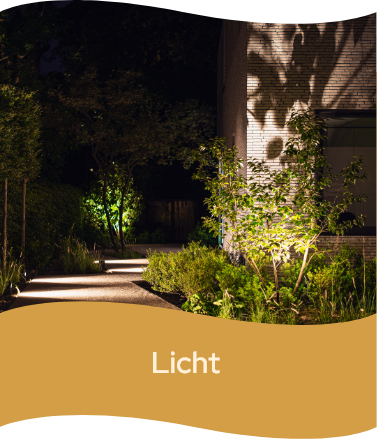 Licht