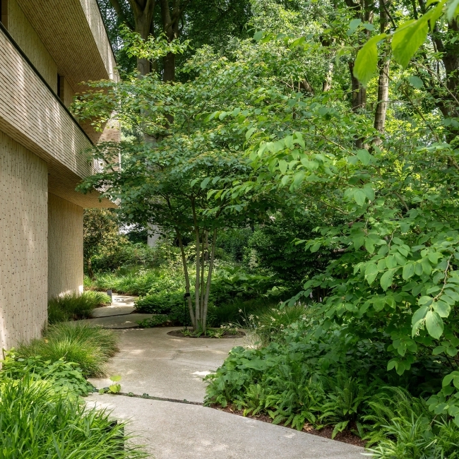 Moderne tuin - Sint Martens Latem